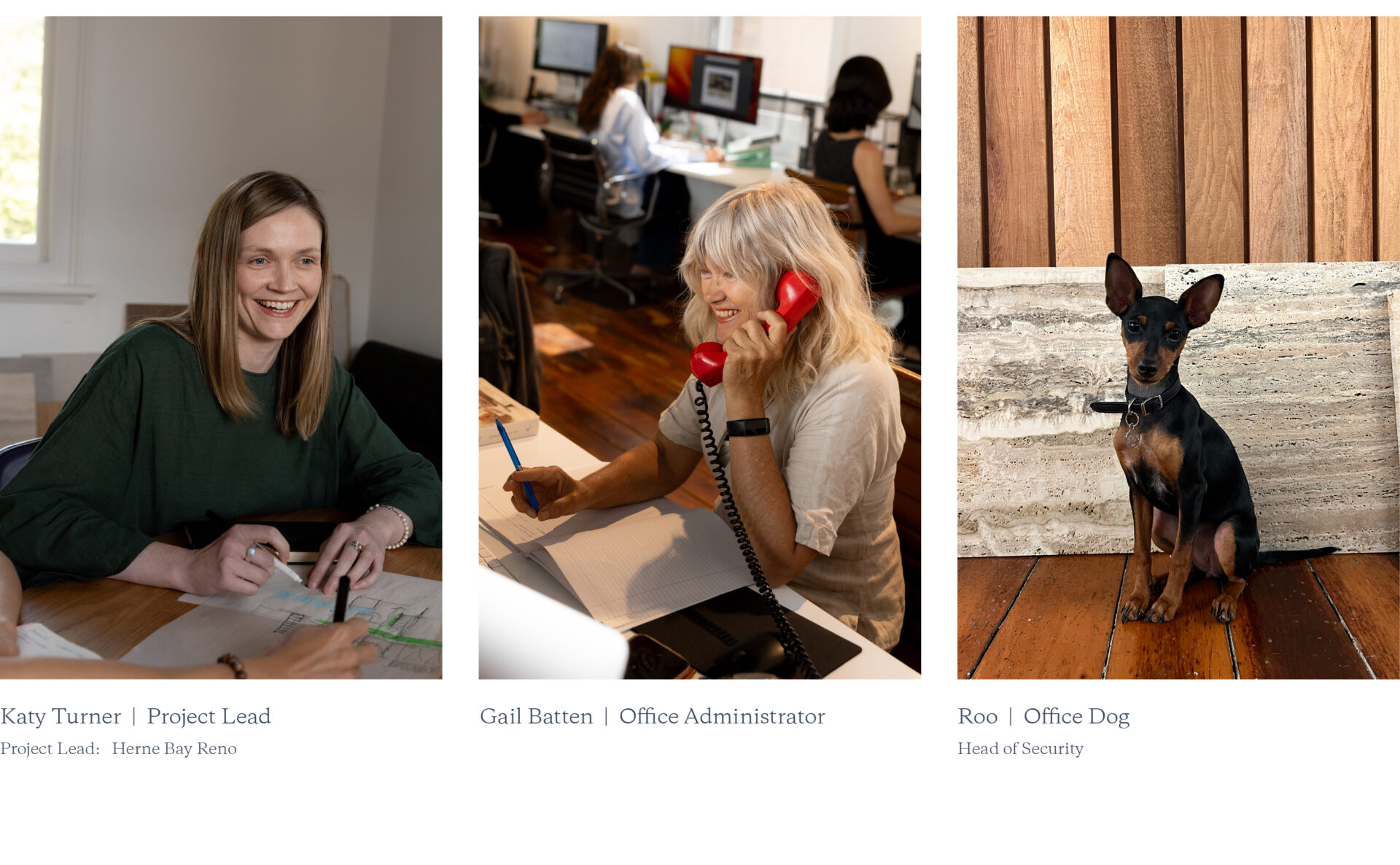 studio john irving architects &middot;&middot; studio john irving architects