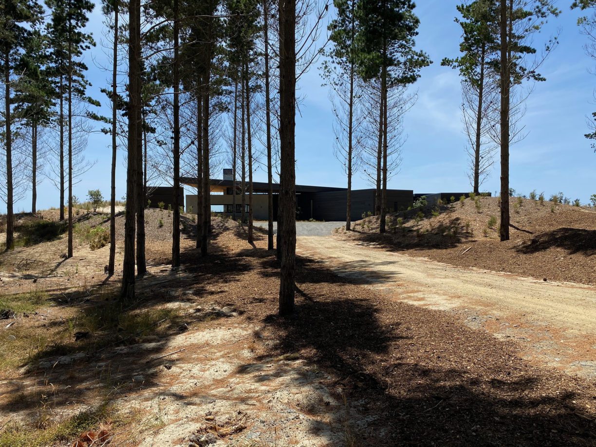 Tara Iti - in progress &middot;&middot; studio john irving architects