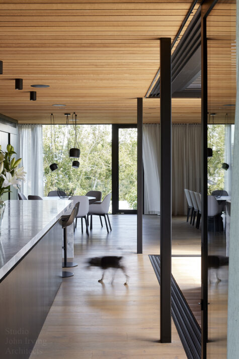 Courtyard House ·· studio john irving architects